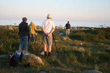 Meditation. Foto: Mats Olsson